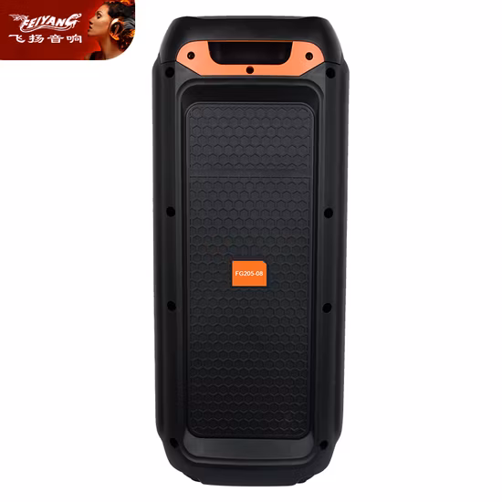 Double haut-parleur audio extérieur rechargeable de Tws de chariot du DJ Bluetooth Feiyang de 6,5 pouces