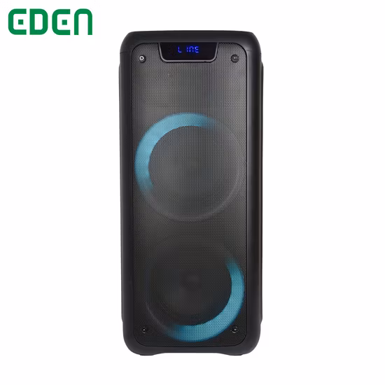 Caisson de basses en bois Double 10 pouces, boîte de son DJ karaoké, haut-parleur Audio de fête Bluetooth avec Microphone Tws