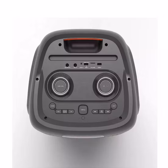 Temeisheng double woofer de 10 pouces grand haut-parleur Bluetooth sans fil Portable actif de fête