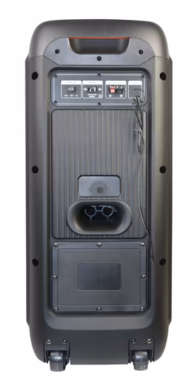 Temeisheng 8 pouces Party Box 100 watts professionnel Portable sans fil Audio Blueoth haut-parleur avec Microphone