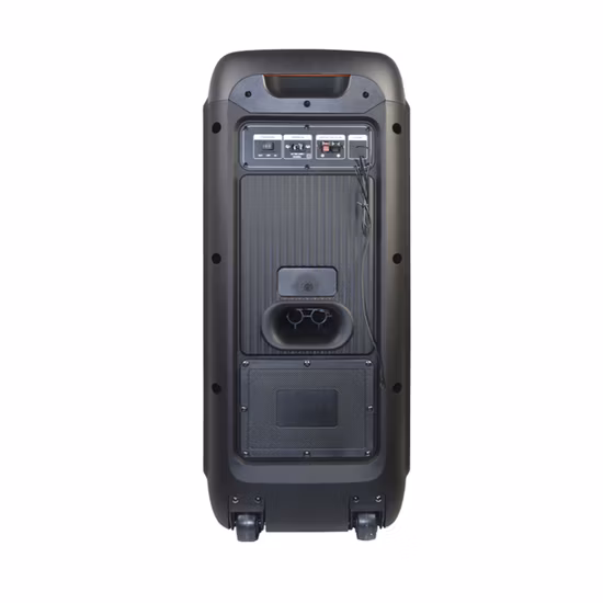 Temeisheng nouveau 80 W grand sans fil Bluetooth Portable chariot HiFi boîte de fête haut-parleur